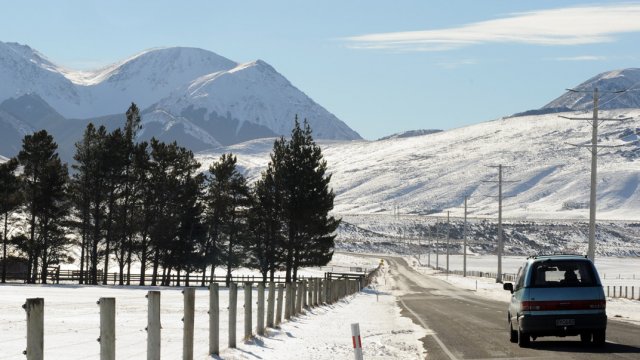 How to use our courtesy crossings - Our Nelson