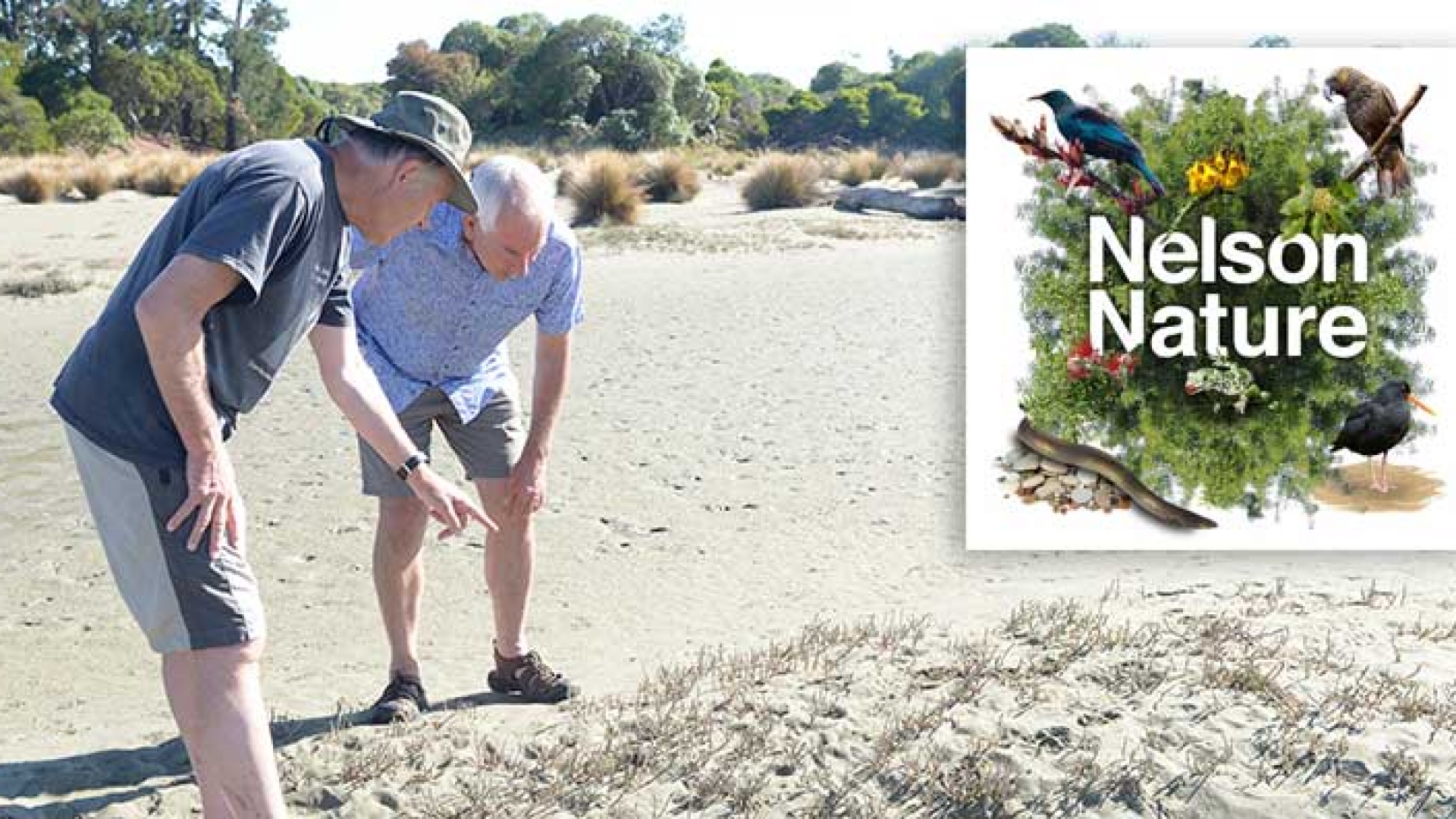 Councillor Brian McGurk inspecting Back Beach Beetle habitat with entomologist Ian Millar.
