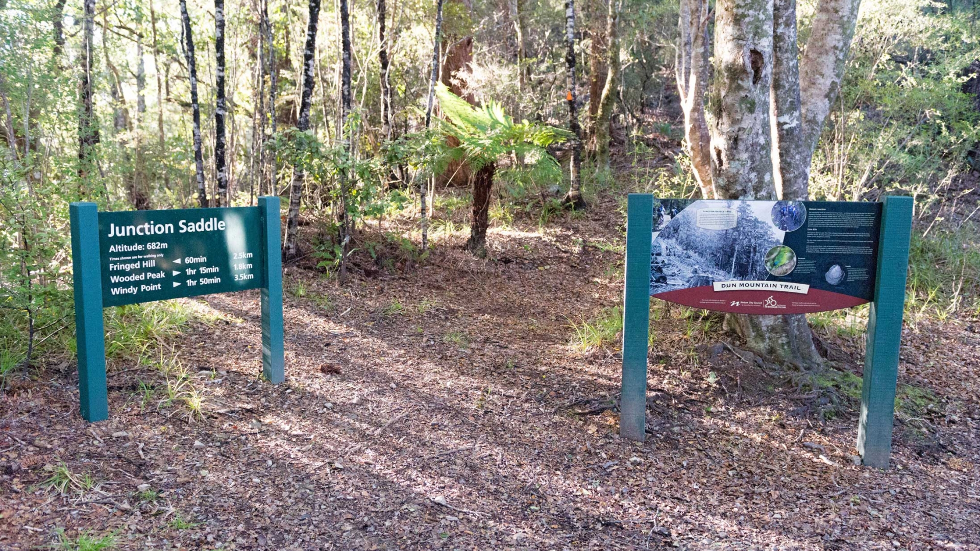 Dun Mountain Trail gets Government funding - Our Nelson