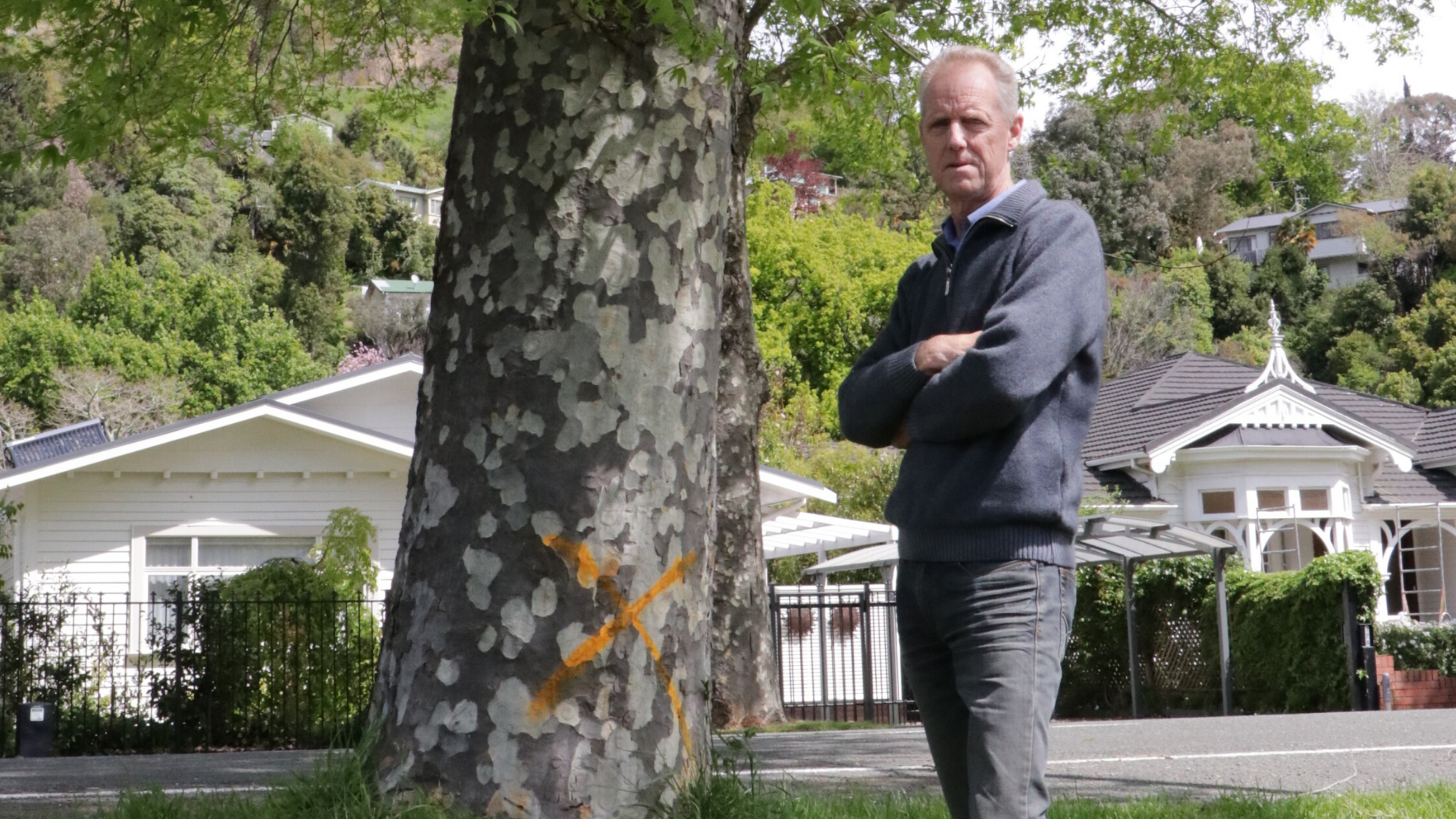 Brad Cadwallader stood next to a plane tree on Nile Street.