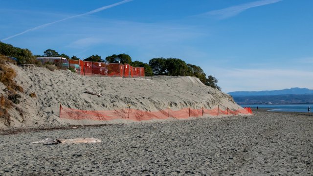 Back Beach sawdust removal site 10 July 2024 07 1 004