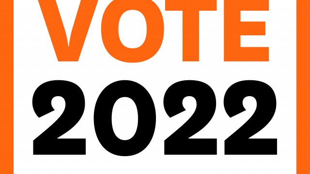 English VOTE 2022 colour 2
