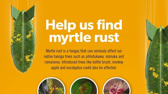 MPB0022 Myrtle Rust A2 Poster crop