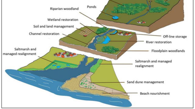 Nature Based Solutions2