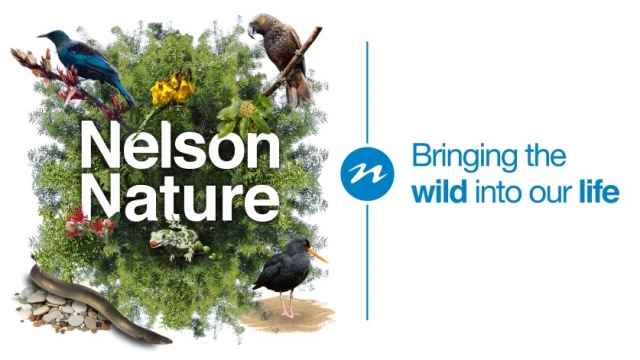 Nelson Nature Logo LANDSCAPE FINAL FINAL July15 Small