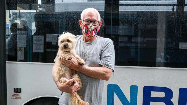 Pets on Buses