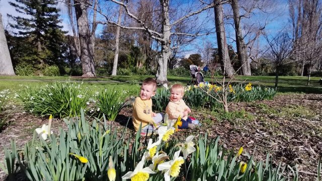 Spring photo competition