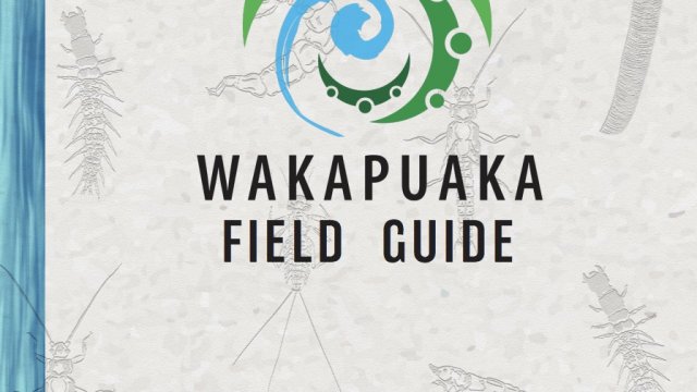 Wakapuaka field guide2
