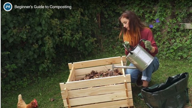 compost video 2