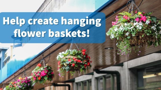 hanging baskets