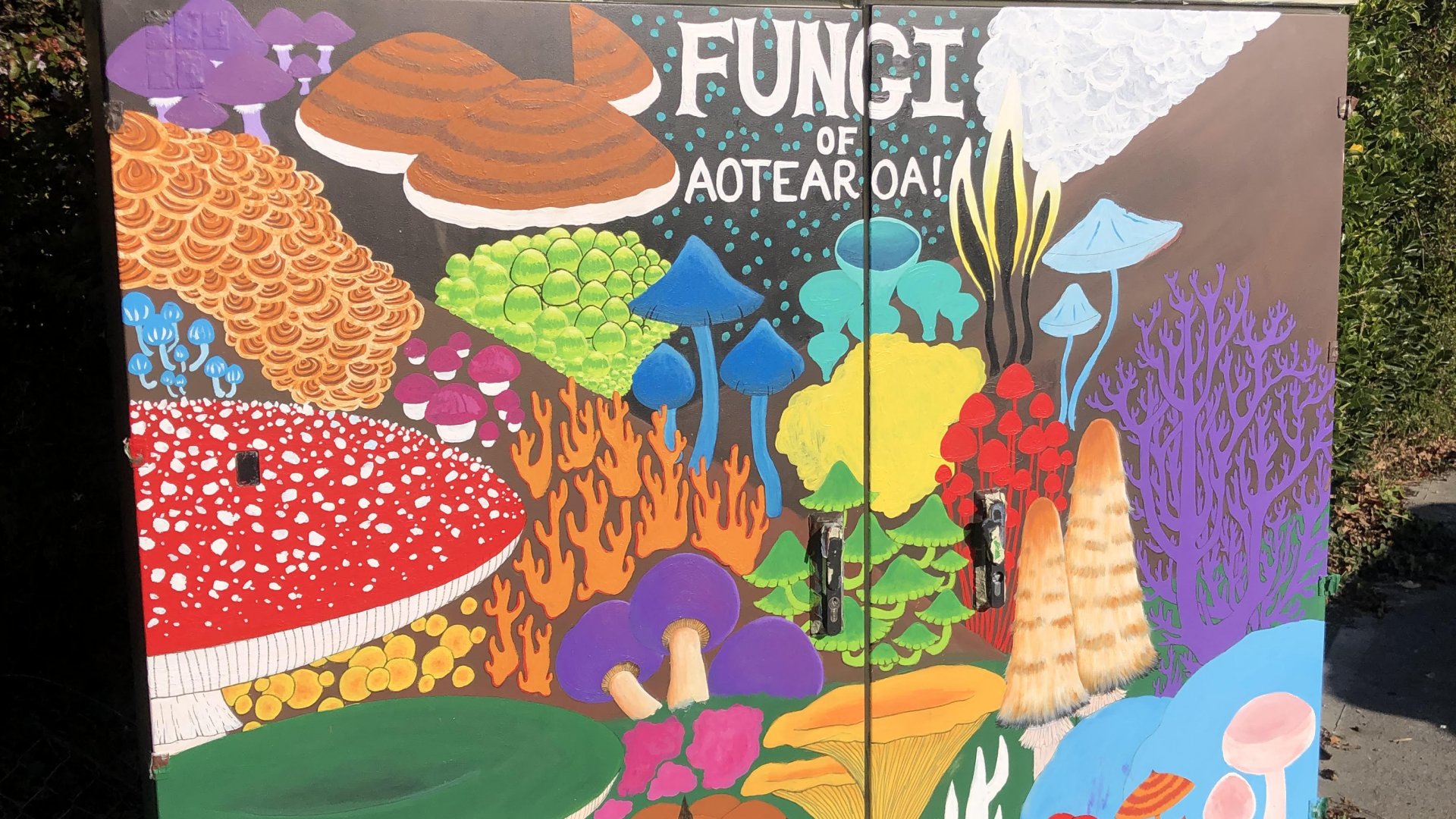 Funghi of Aotearoa by Amber Sisarich