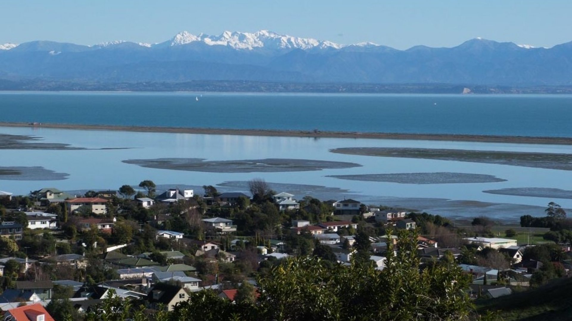 The view from Titoki Reserve