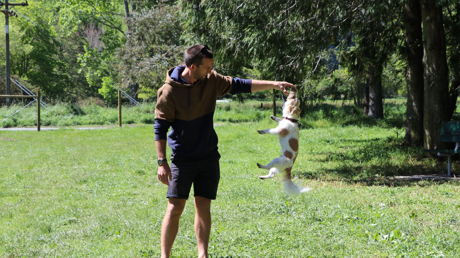 Keegan Beal shows off his dog Sprocket's impressive jumps and tricks in the small dog area.