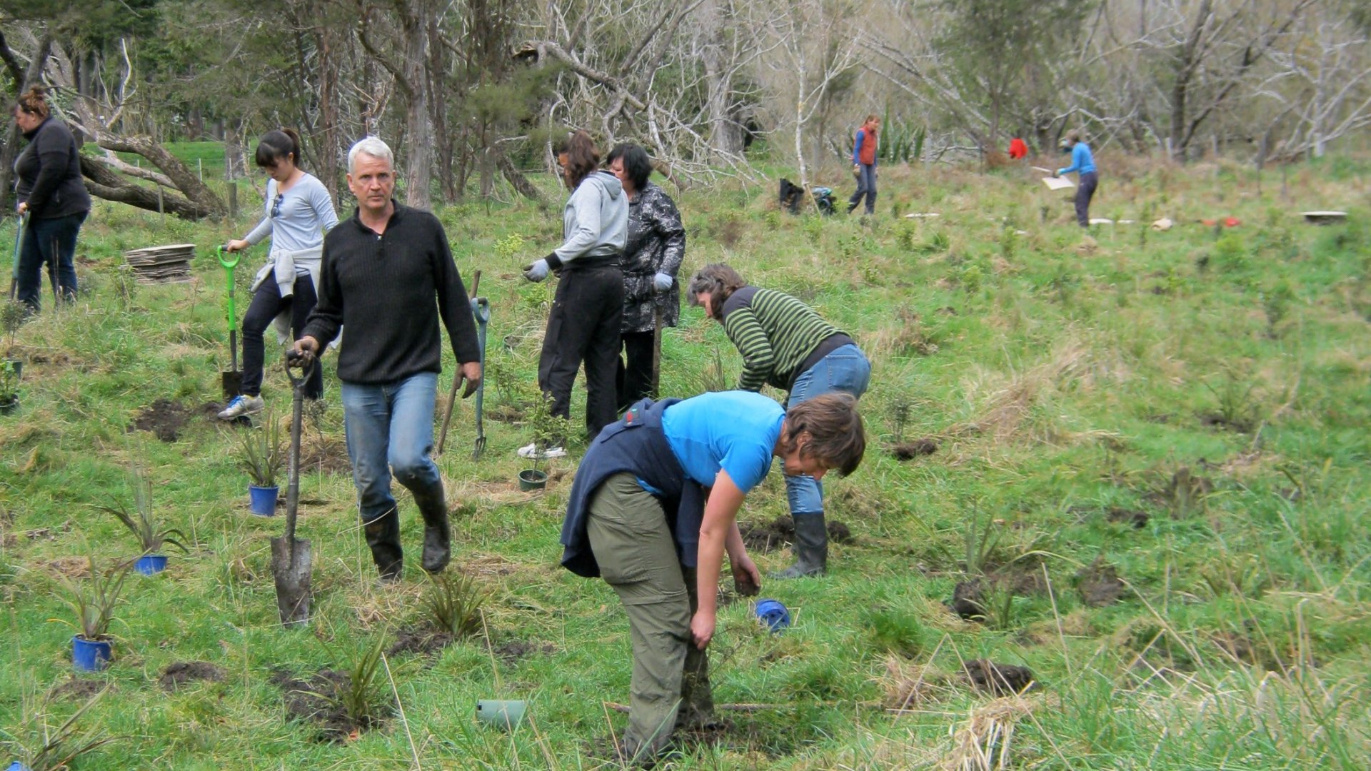 Adopt a Spot Friends of the Maitai help to transform Groom Creek Our Nelson