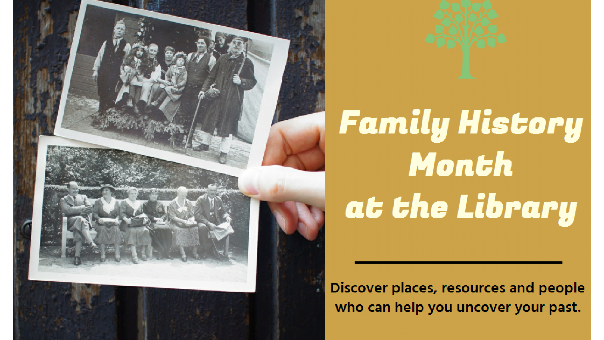 family-history-month-this-august-at-nelson-public-libraries-our-nelson