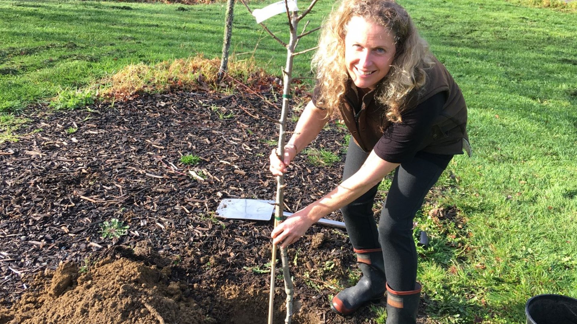 Carolyn Mackay from the Nelson branch of the New Zealand Tree Crops Association