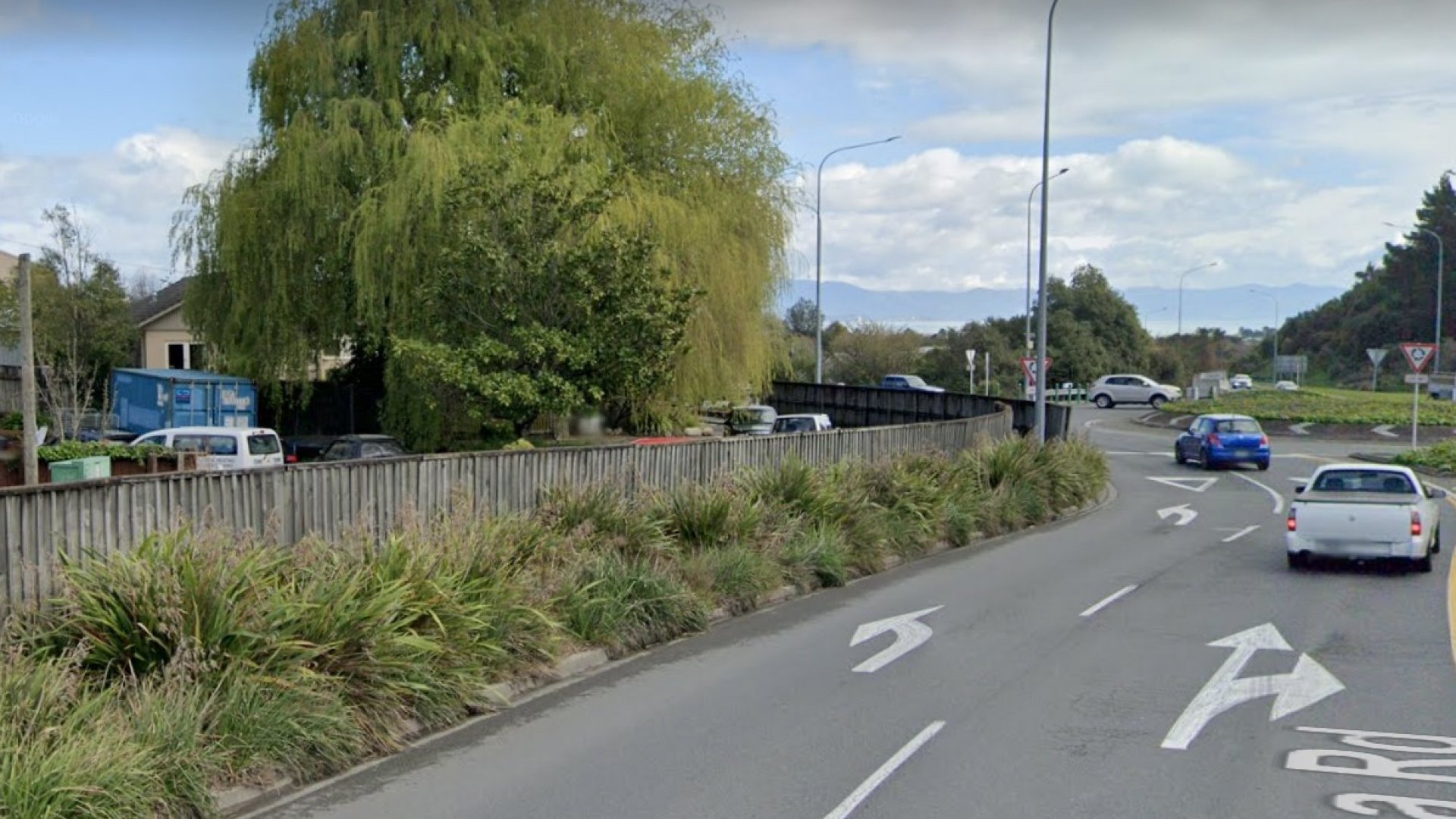 Shrubs that will be removed from the roadside along Waimea Road by the Beatson Road roundabout. 