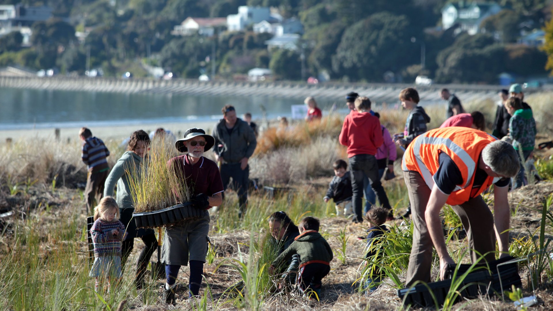 The Tahunanui Dune Restoration community planting is scheduled to take place on Arbor Day, 5 June 2021.