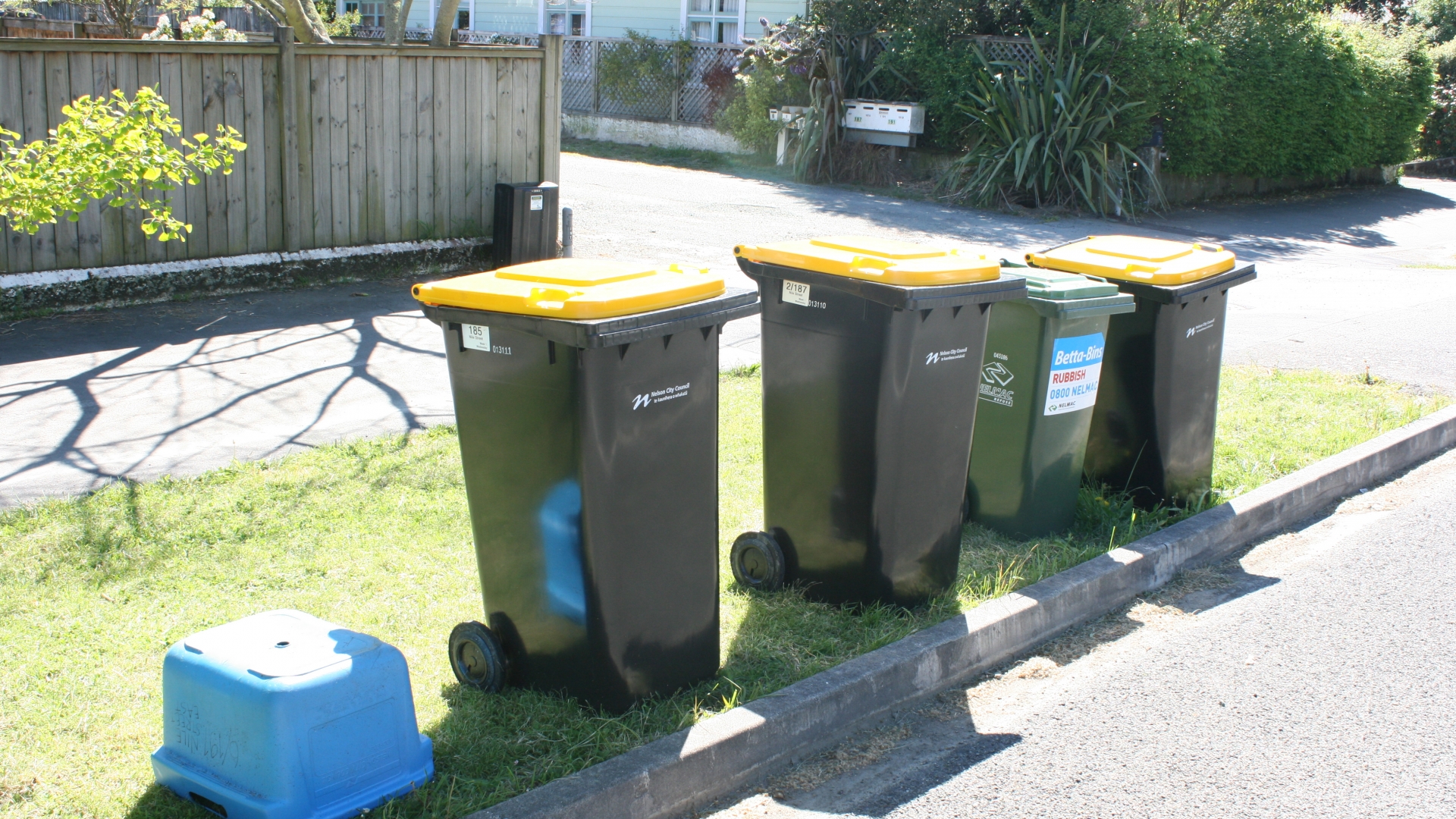 Recycling returns to normal in Nelson from Monday, 18 May.